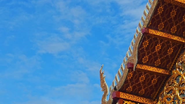 在泰国南传佛教寺庙上的小鸟短视频素材
