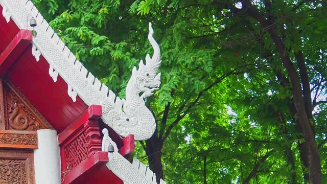 绿树丛中的泰国寺庙短视频素材