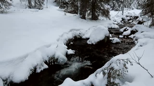 黑白森林白雪皑皑小溪潺潺短视频素材