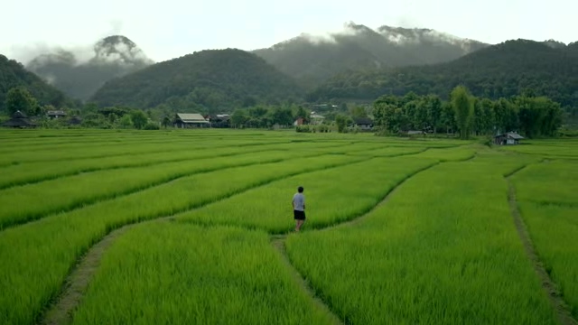 东南亚越南的山间水稻田里行走的男人短视频素材【4K】