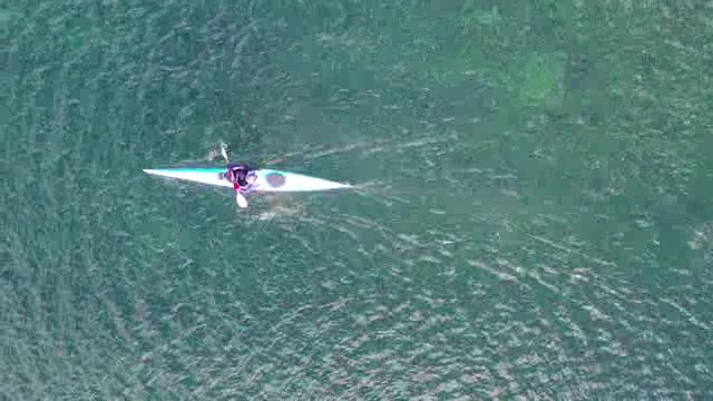 航拍水面上的皮划艇短视频素材【4K】